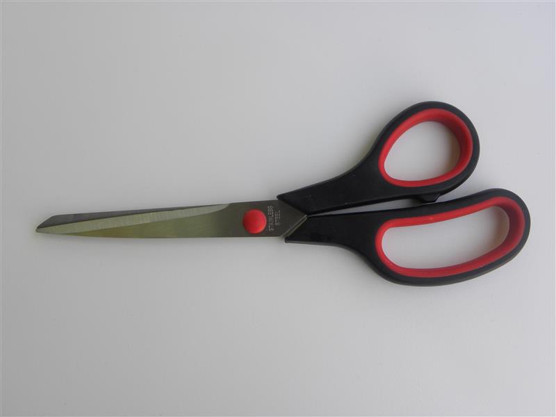 Rita scissors
